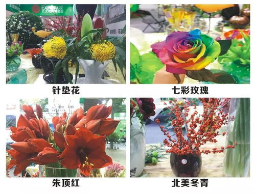 武汉花卉博览园扮靓第二届中国武汉绿色产品交易会